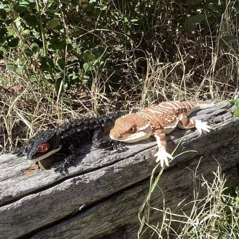 نموذج تمساح وسحلية ثلاثي الأبع - مراجعة 3D Printing Lizard وسعره