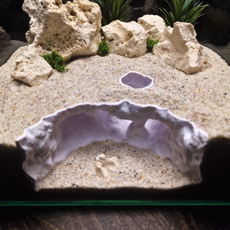 زينة حوض الزواحف والأسماك مطبو - مراجعة 3D Printing Lizard وسعره