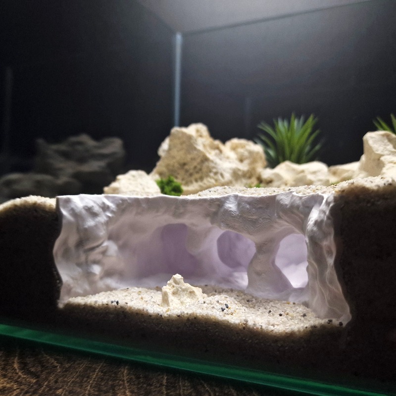 زينة حوض الزواحف والأسماك مطبو - مراجعة 3D Printing Lizard وسعره