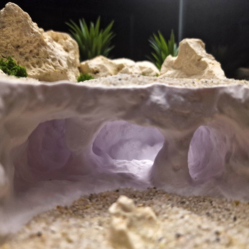 زينة حوض الزواحف والأسماك مطبو - مراجعة 3D Printing Lizard وسعره