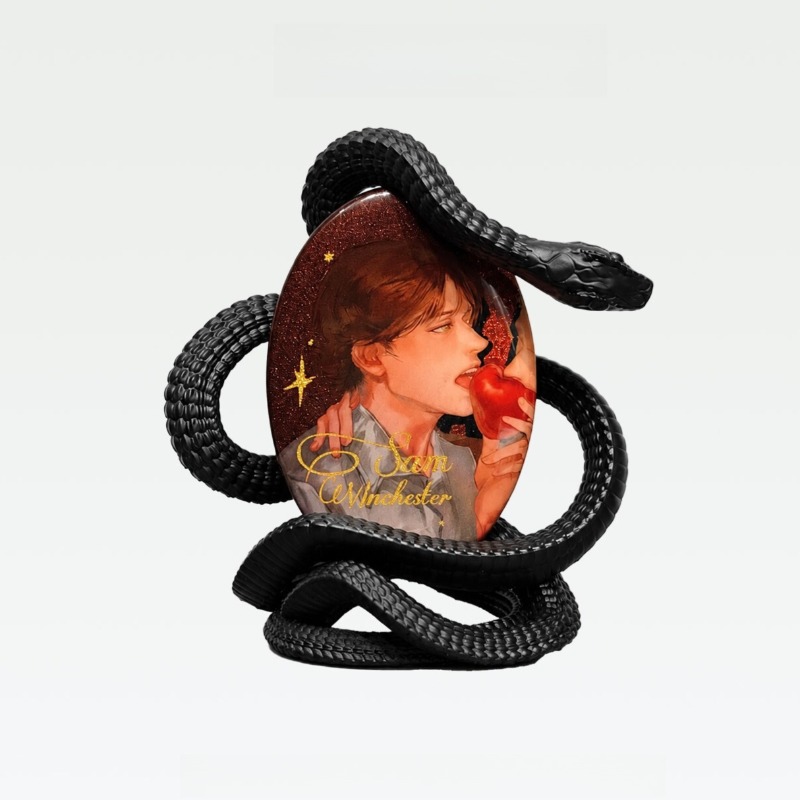 حامل شارات 